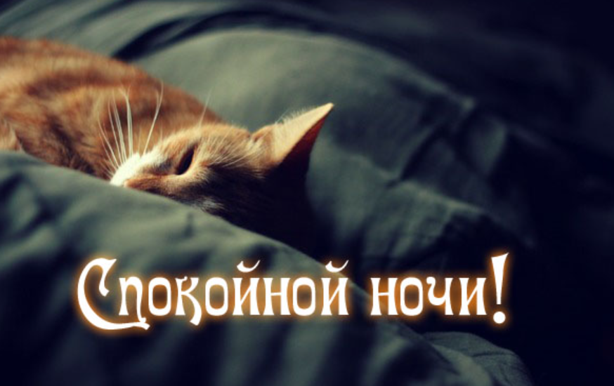 Спокойной ч. Доброй ночи. Пожелания спокойной ночи. Спокойной ночи с котиками и надписями. Спокойной ночи картинки с надписями.