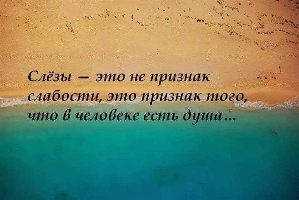 Мудрые красивые слова со смыслом. Красивые цитаты. Высказывания в картинках. Красивые фразы. Интересные выражения и высказывания.