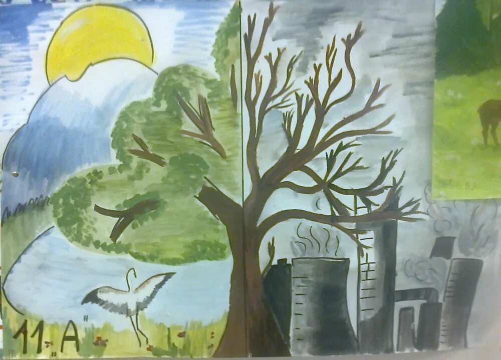 Рисунок окружающая среда и здоровье человека. Рисунок на экологическую тему. Экологический плакат. Детские рисунки на тему экология. Рисование на тему экология.
