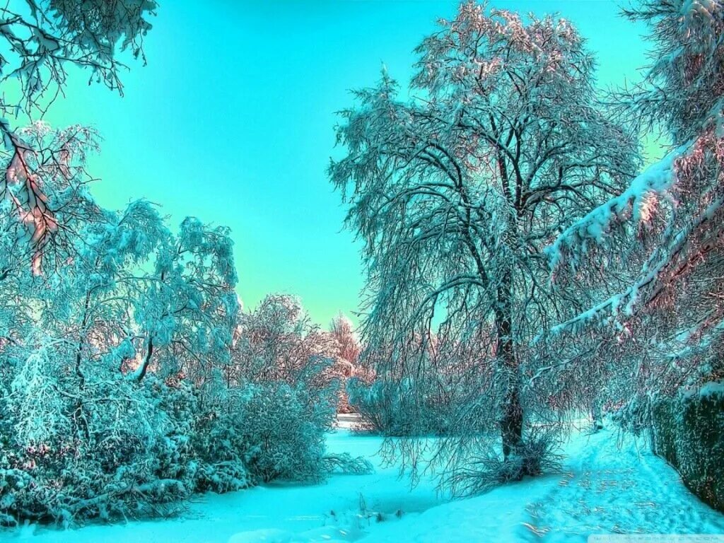 Красивая зима. Природа зима. Зимние картинки. Зимний пейзаж обои на рабочий стол. Февраль красивые картинки необычные