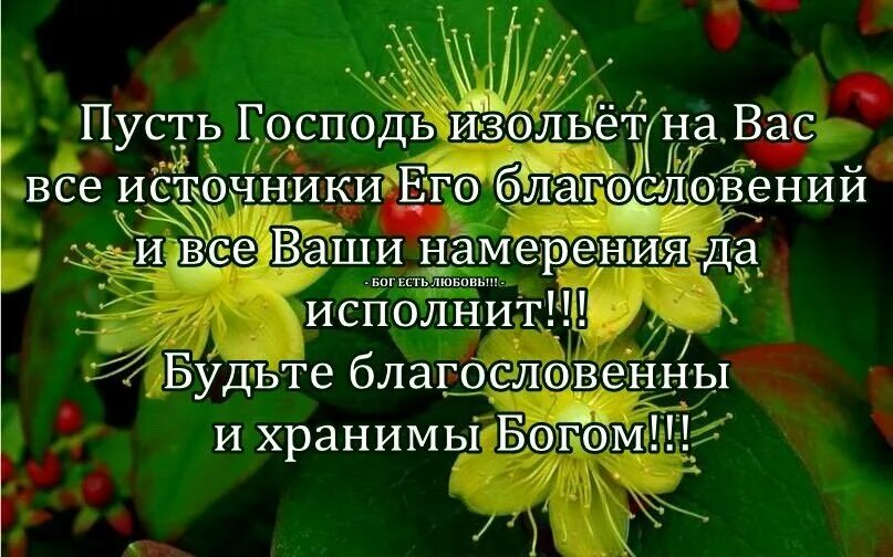 Доброго здоровья и Божьего благословения. Открытки с Божьим благословением. День благословения. Пожелания здоровья и Божьего благословения.